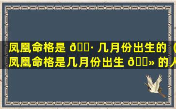 凤凰命格是 🌷 几月份出生的（凤凰命格是几月份出生 🌻 的人）